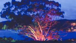 Inverewe Gardens by floodlight