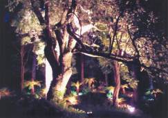 Inverewe Gardens by floodlight