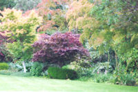 Glenfalloch garden